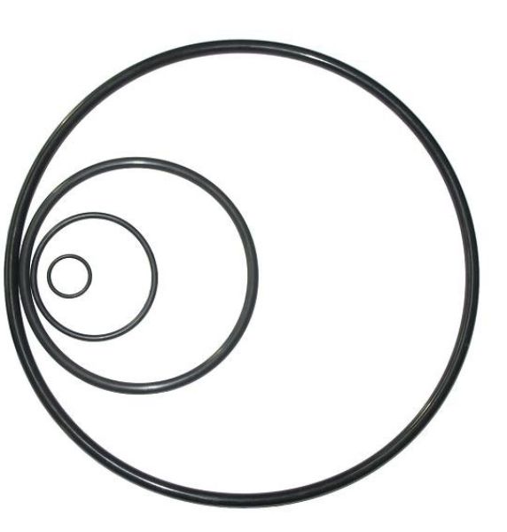 O-ring