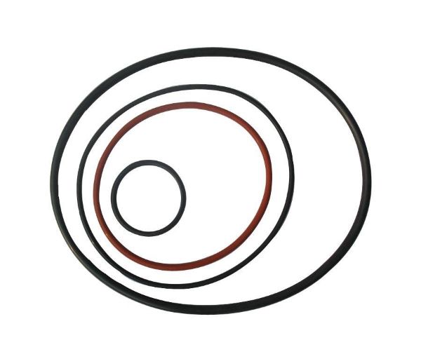 O-ring